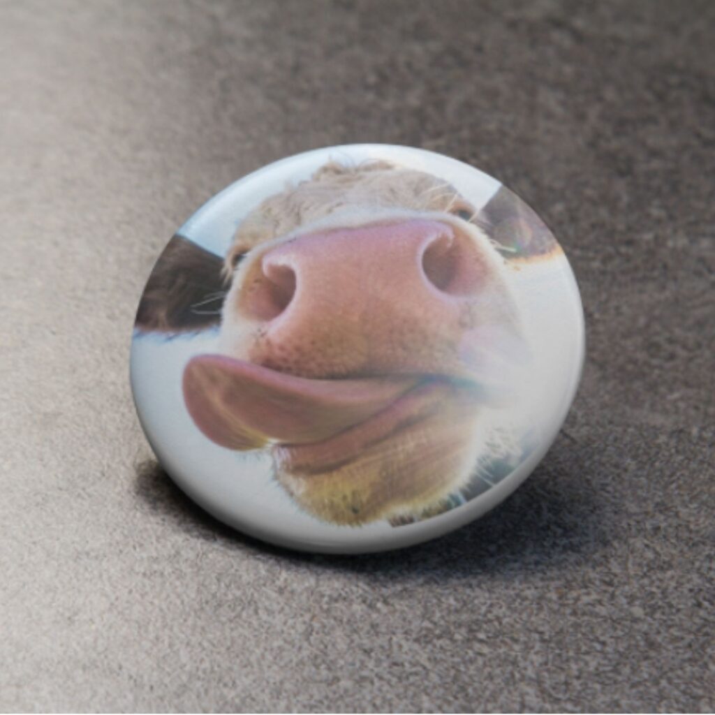 Kráva 2